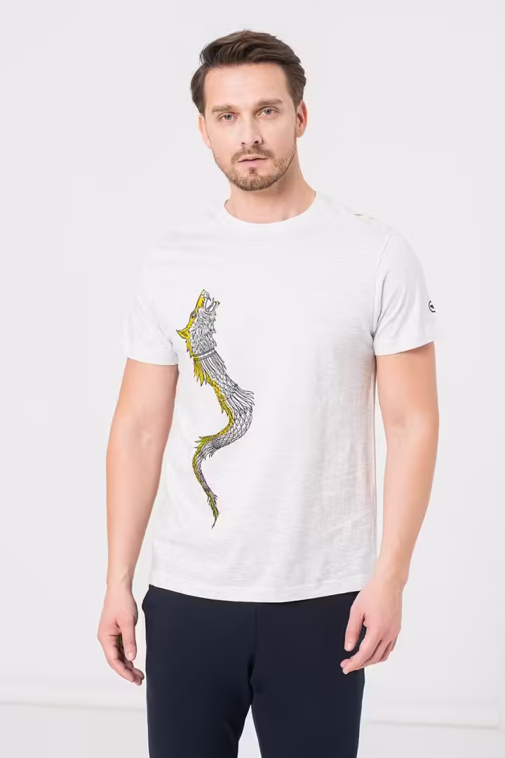 Tricou Barbati Dracon Casual Light Gray S Tricou Barbati Dracon Casual Light Gray S