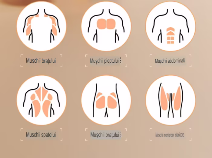 Roata abdominala cu temporizator, Arvada® URBNFit, mecanism de rebound automat, suporturi pentru coate, 10cm latime roata,...