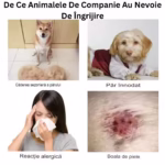 Set ingrijire animale de companie OnePet marime S, 6 dinti, compus din pieptene descalcitor, cleste, pila, pentru curatare...