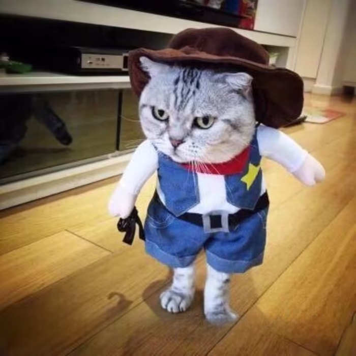 Costum de cowboy denim pentru caini si pisici stilat si amuzant, perfect pentru Halloween sau serile de petrecere, marime S, albastru