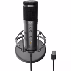 Microfon Genesis Radium 600 G2, tip Condenser, model cardioid, suport fix, conectivitate USB-C si Jack 3.5 mm, raspuns in frecventa 30 -18.000 Hz, sensibilitate -36 dB, lungime cablu 180 cm, negru