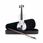 Set vioara clasica din lemn si arcus 1/8 suplimentar, DEPOX®, Marime 4/4, toc inclus